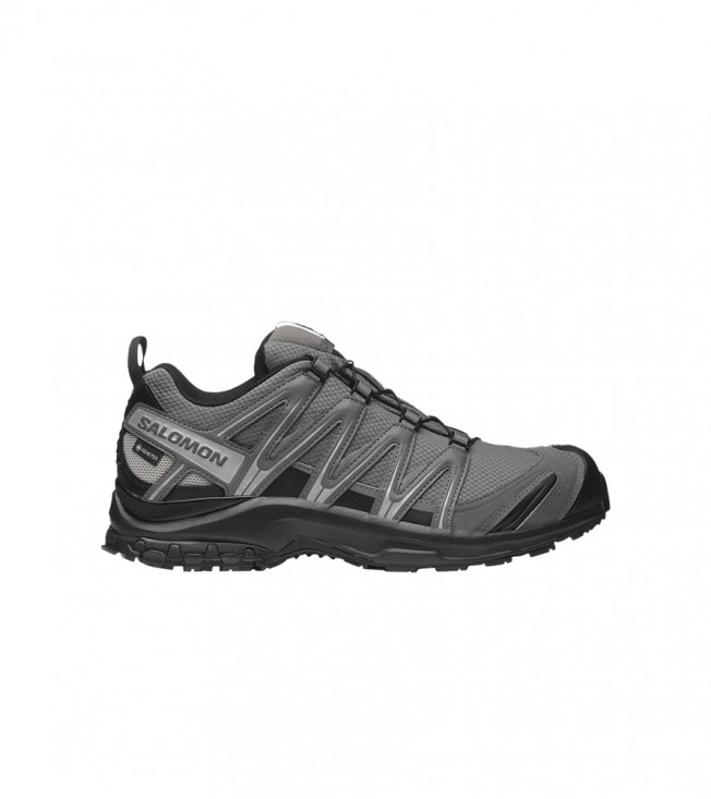 Salomon XA Pro 3D Gore-Tex Pewter Silver Cloud