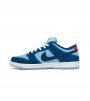 Nike SB Dunk Low Pro Why So Sad?