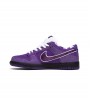 Nike SB Dunk Low Concepts Purple Lobster