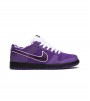 Nike SB Dunk Low Concepts Purple Lobster