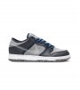 Nike SB Dunk Low Crater
