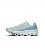 On Running Cloudmonster Brook Iceberg Wmns