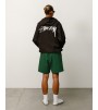Шорты Stussy Sport Short Pine
