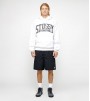 Шорты Stussy Water Short Stock Black