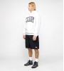 Шорты Stussy Water Short Stock Black