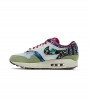 Nike Air Max 1 SP Concepts Mellow