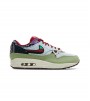 Nike Air Max 1 SP Concepts Mellow