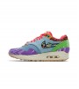 Nike Air Max 1 SP Concepts Far Out (Regular Box)