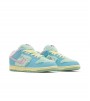 Nike SB Dunk Low Verdy Visty