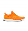 Кроссовки Adidas Ultraboost Clima DNA