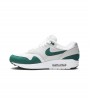 Nike Air Max 1 Anniversary Green