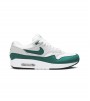 Nike Air Max 1 Anniversary Green