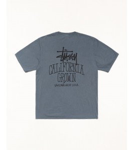 Футболка Stussy Cali Grown Tee Pigment Dyed Navy - ???? ?20