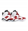 Кроссовки Air Jordan 6 Retro Carmine 2020