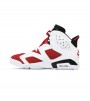 Кроссовки Air Jordan 6 Retro Carmine 2020