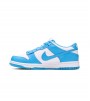 Nike Dunk Low UNC (GS)