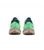 Nike PEGASUS TRAIL 2 Green
