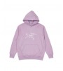 Худи Palace Arc'Teryx Hood Haze