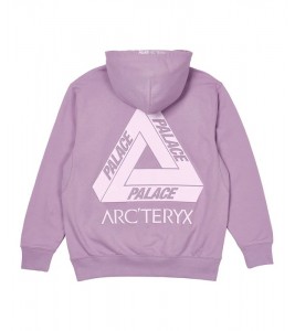 Худи Palace Arc'Teryx Hood Haze