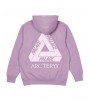 Худи Palace Arc'Teryx Hood Haze