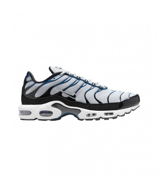 Nike Air Max Plus Pure Platinum Court Blue