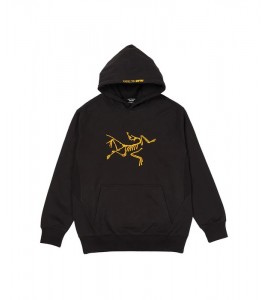 Худи Palace Arc'Teryx Hood Black - Фото №2
