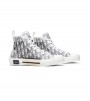 Dior B23 High Top Logo Oblique