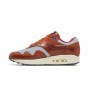 Nike Air Max 1 x Patta Orange