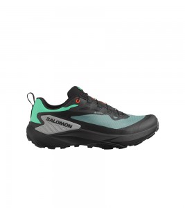 Salomon Genesis Gore-Tex North Atlantic