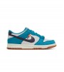 Nike Dunk Low SE Toasty Rift Blue (GS)