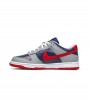 Nike Dunk Low SP
