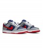 Nike Dunk Low SP