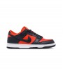 Nike Dunk Low SP Champ Colors