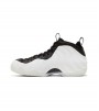 Nike Air Foamposite One Penny PE
