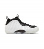 Nike Air Foamposite One Penny PE
