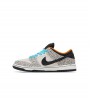 Nike SB Dunk Low Olympics Safari