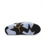 Jordan 6 Retro DMP