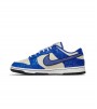 Nike Dunk Low Jackie Robinson