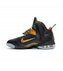 Nike Lebron IX "Wath the Throne"