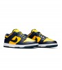 Nike Dunk Low Michigan