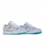 Nike Dunk Low Union Passport Pack Argon