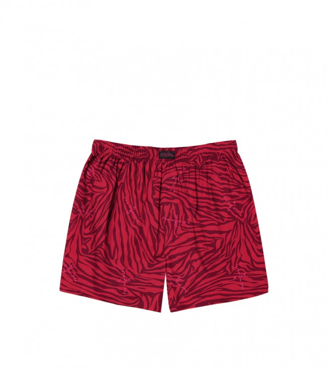 Шорты Travis Scott Cactus Jack Zebra Print
