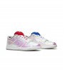 Nike SB Dunk Low Concepts Grail