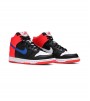 NIKE Dunk HIGH (GS)