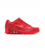 Nike Air Max 90 City Special Chicago Gs