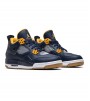 Кроссовки Jordan 4 Retro Dunk From Above (GS)