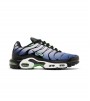 Nike Air Max Plus Icons Deep Royal Scream Green