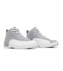 Jordan 12 Retro Stealth