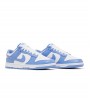 Nike Dunk Low Polar Blue
