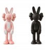 KAWS Tokyo First Accomplice Keychain Pink/Black Set (2021)
